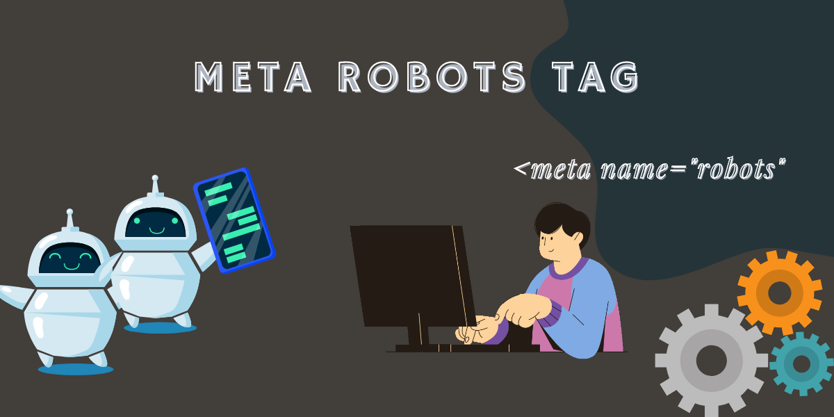 Meta Robots Tag Guide